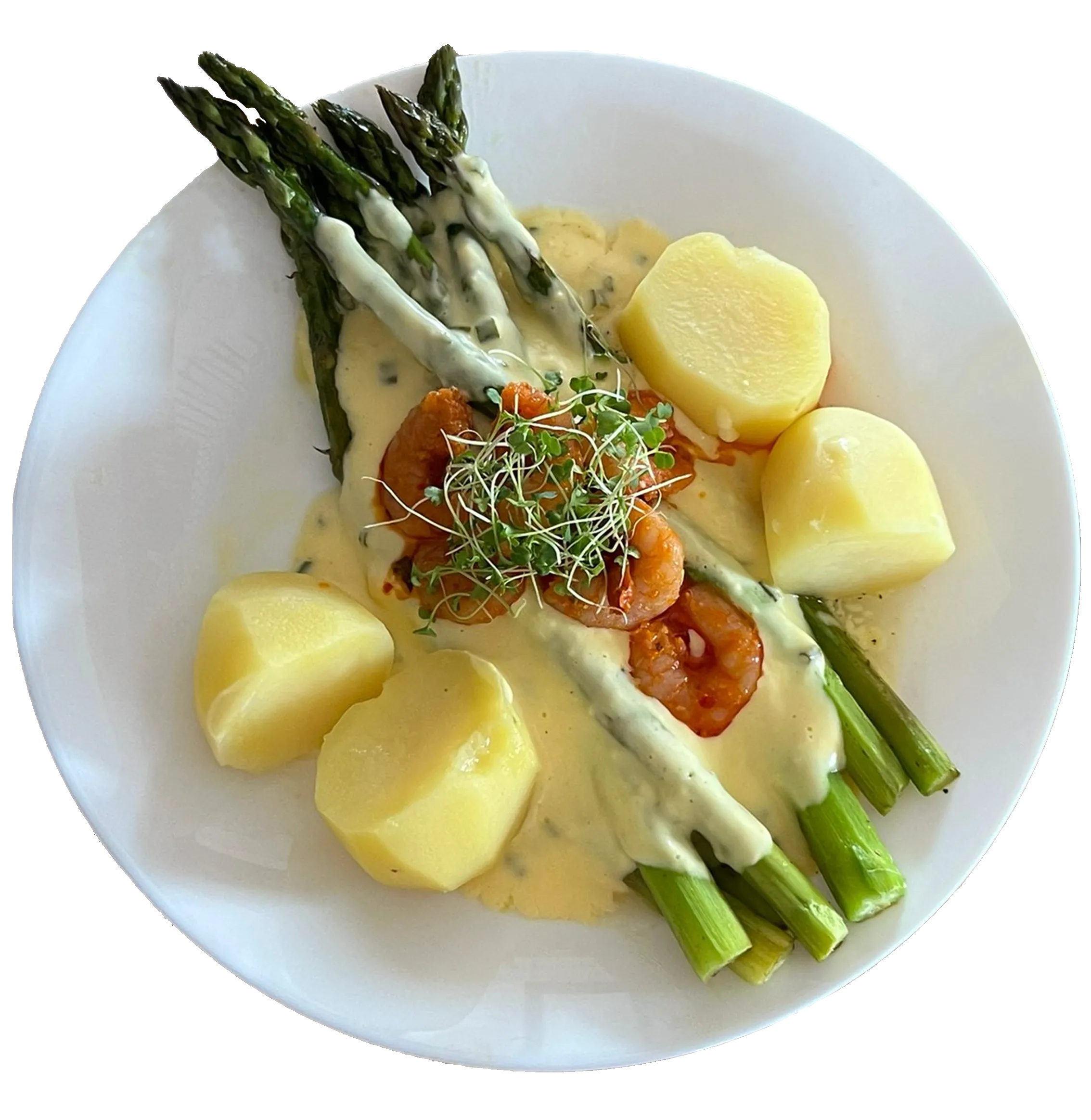 Leckerer Spargelteller mit Soße und Brokkoli Microgreens