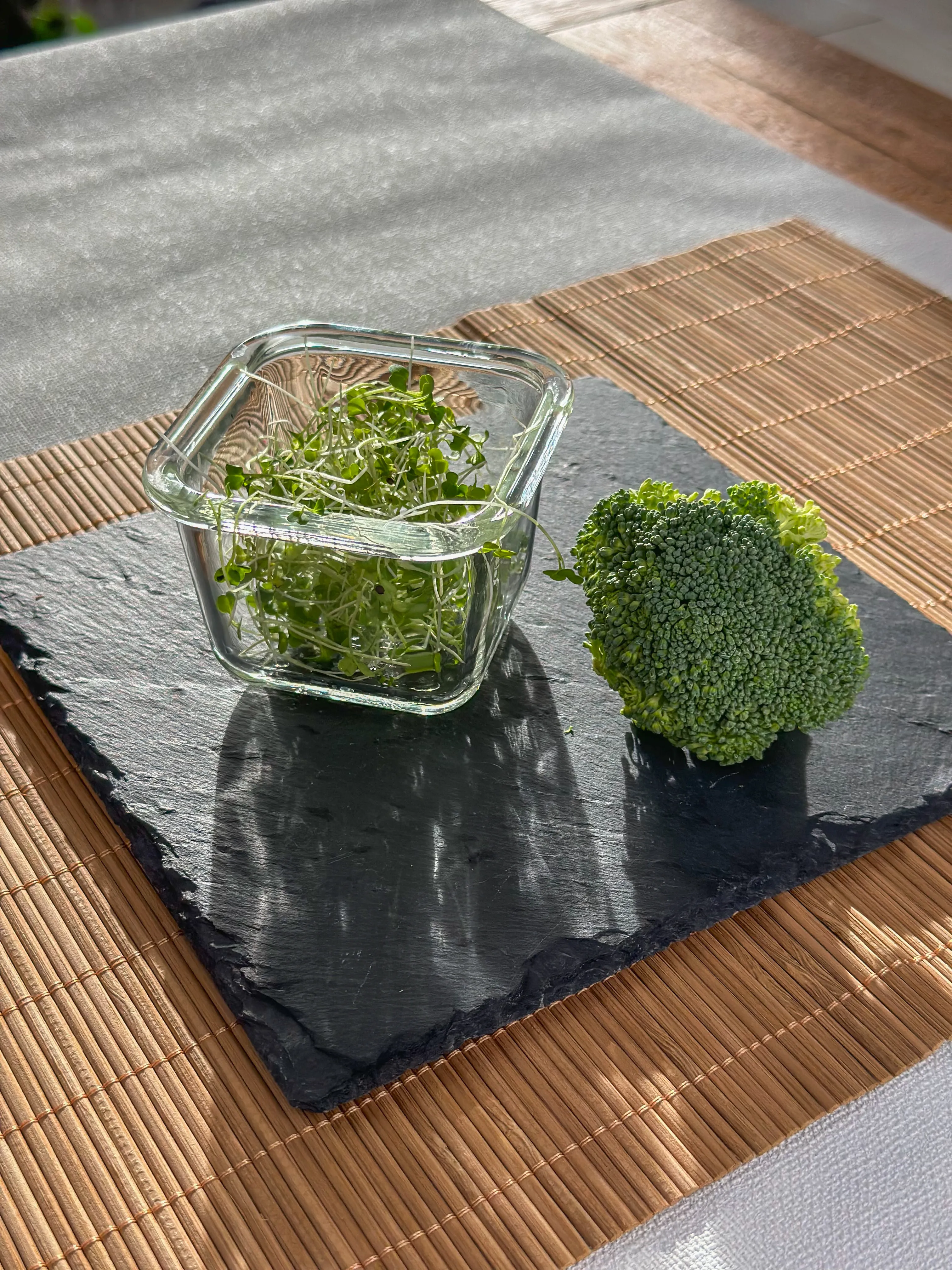 Brokkoli-Microgreens in Glas-Schale in der Sonne, davorliegender ausgewachsener Brokkoli