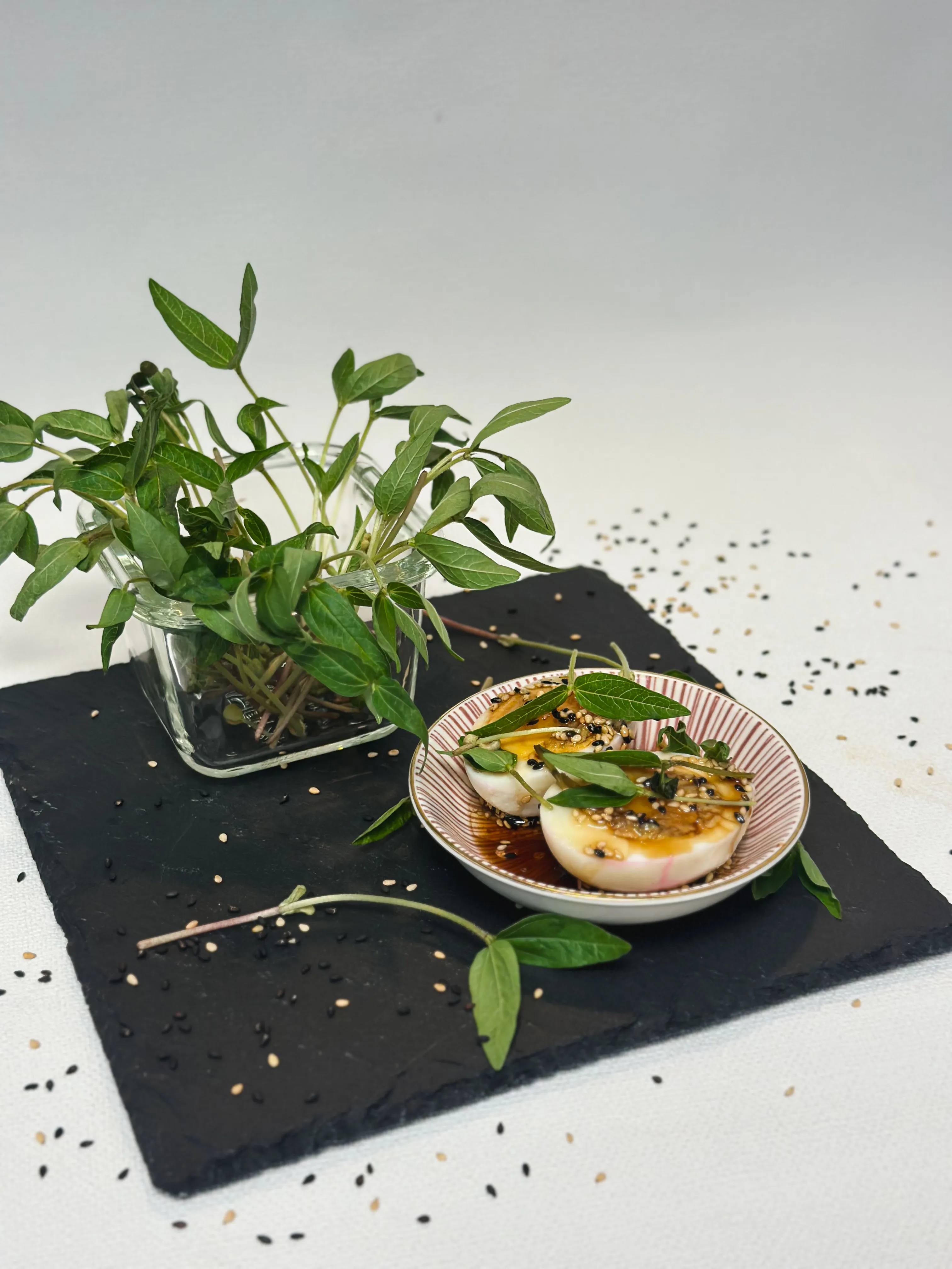 Mungobohne auf einem Ei mit einem Behätnis voller Microgreens auf einer Schieferplatte