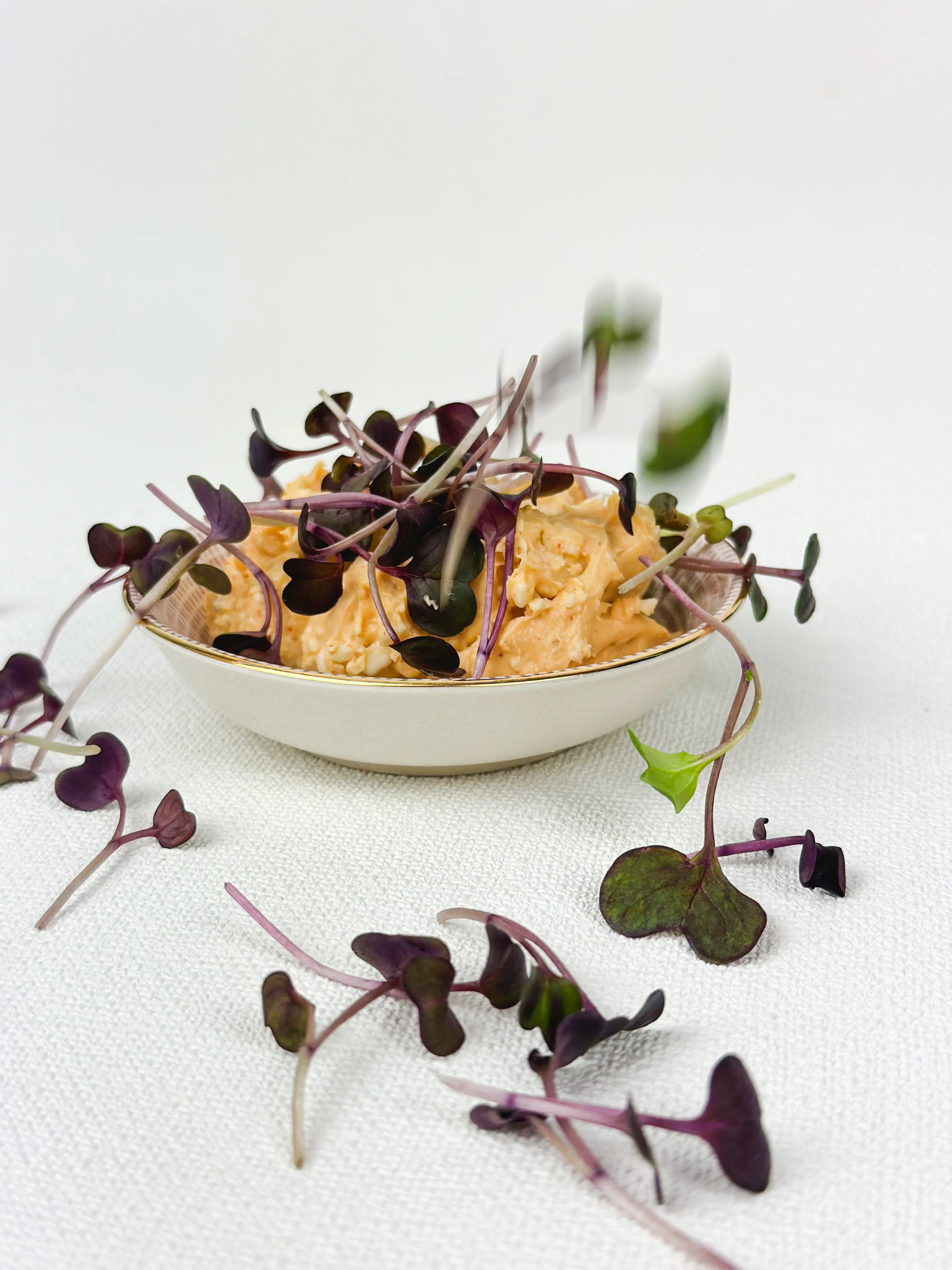 Radieschen-Microgreens die in eine Schale Obazda fallen