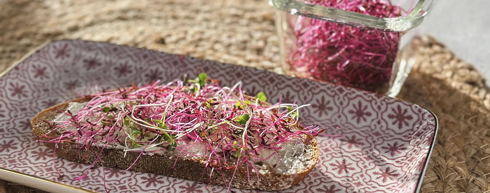 Schwarzbrot mit Amaranth-Microgreens belegt auf einer schönen Servier-Schale