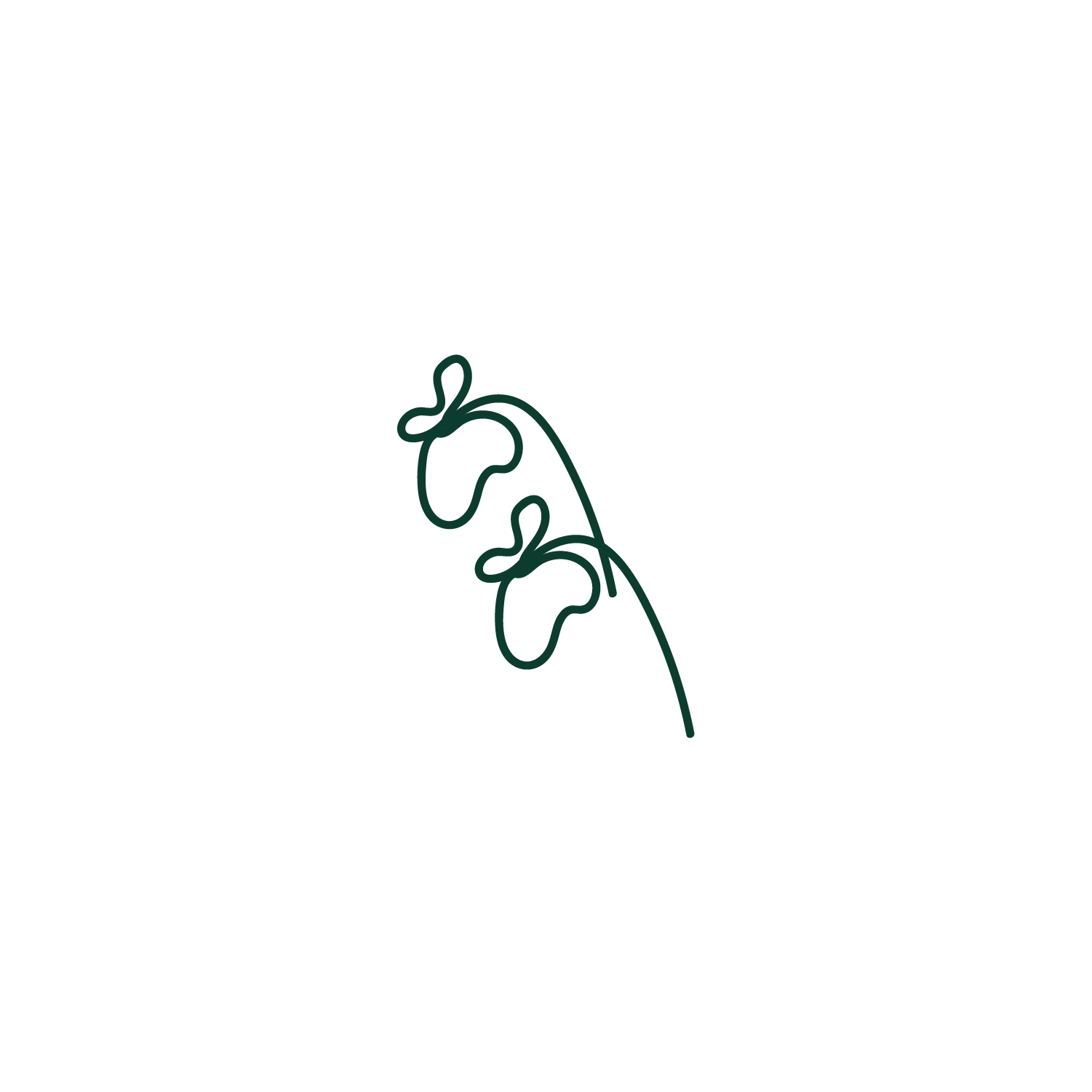 2D Pictogramm von Brokkoli 20g