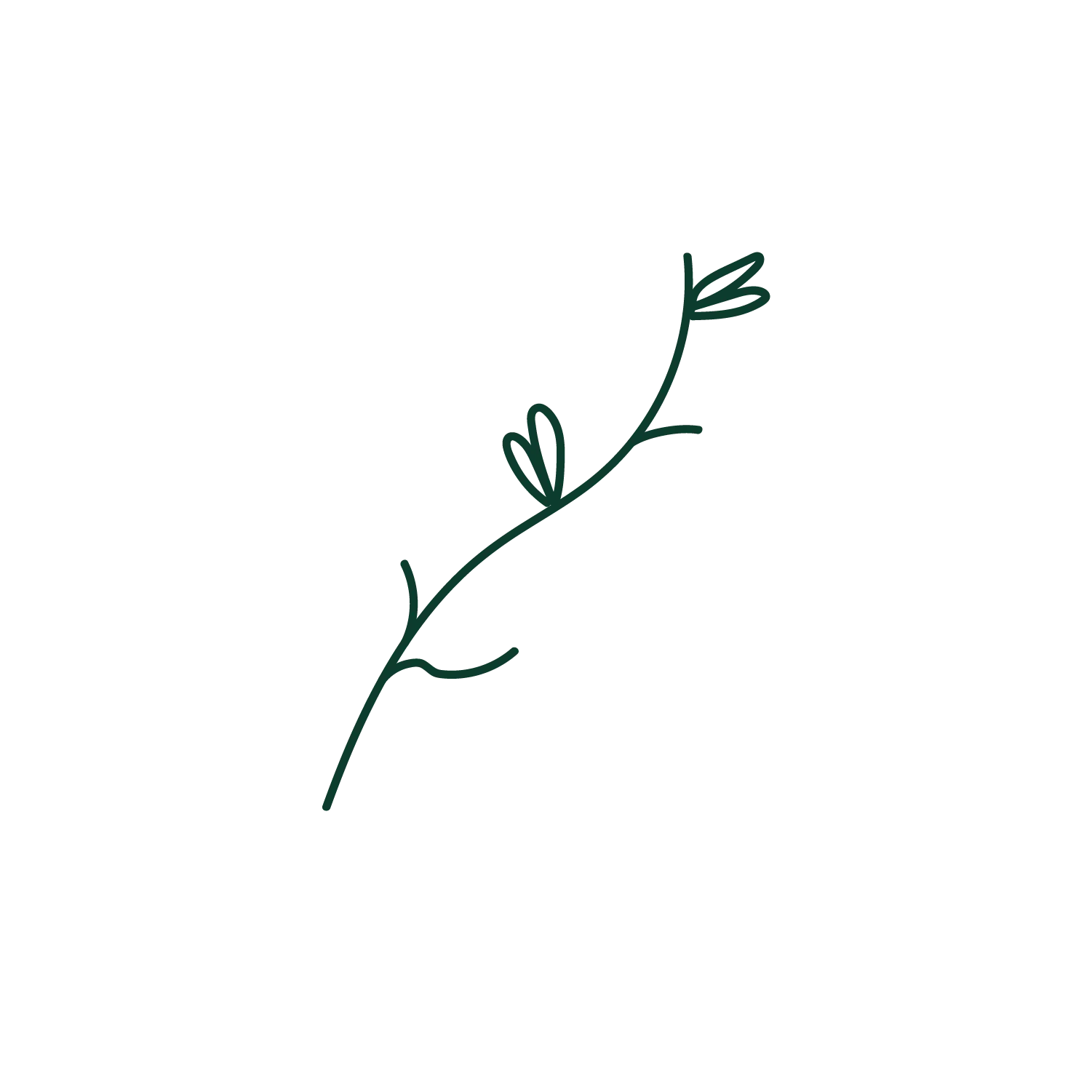 2D Pictogramm von Erbsen 30g