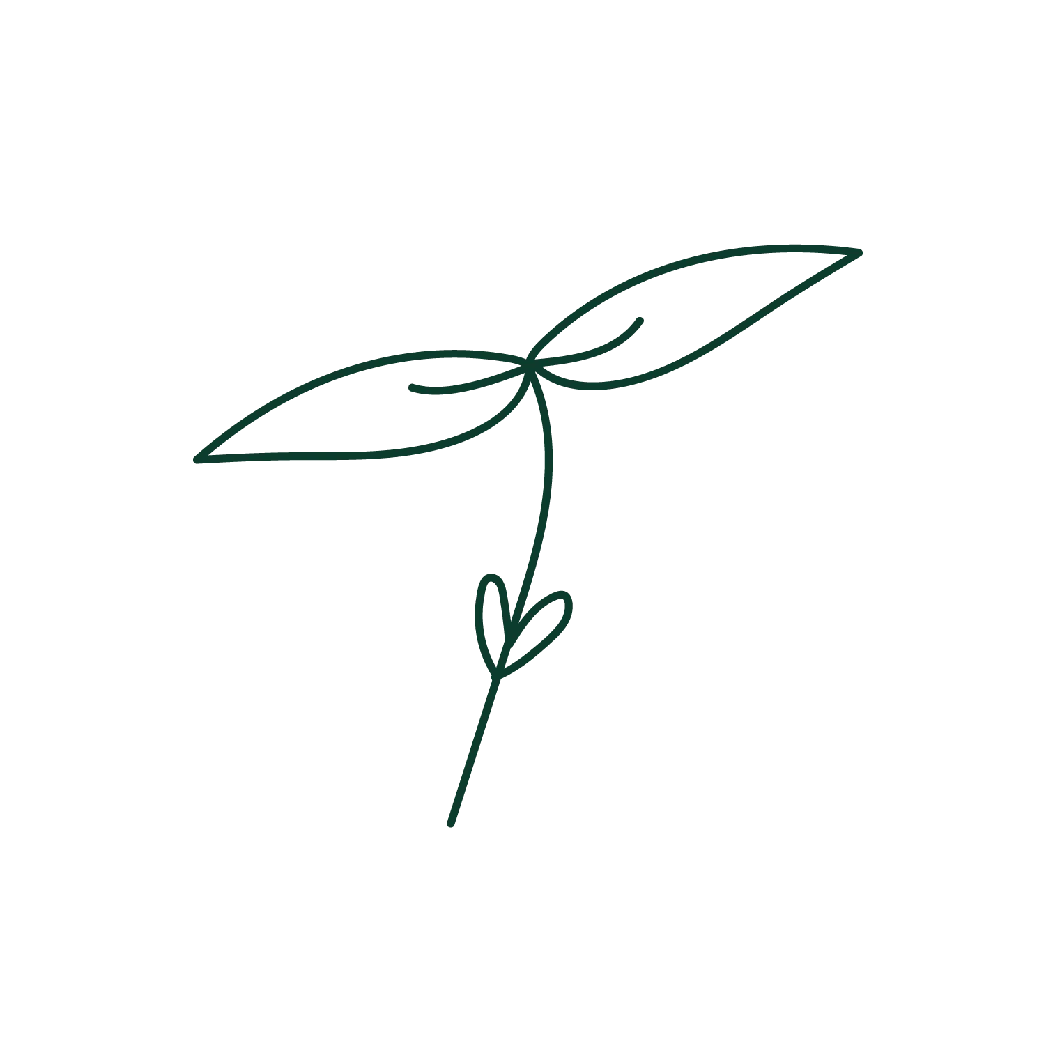 2D Pictogramm von Mungobohne 30g
