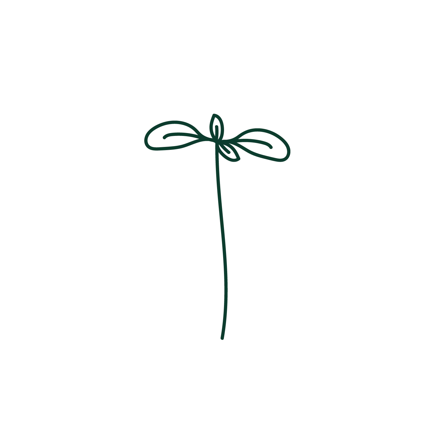 2D Pictogramm von Sonnenblumen 40g